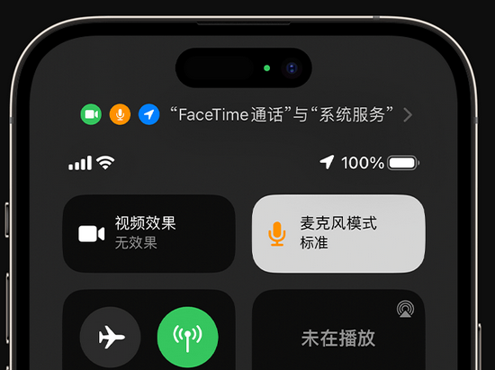 丰都苹果授权维修网点分享iPhone在通话时让你的声音更清晰 