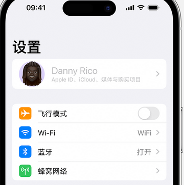 丰都appleID维修服务iPhone设置中Apple ID显示为灰色无法使用