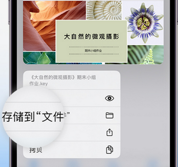 丰都apple维修中心分享iPhone文件应用中存储和找到下载文件