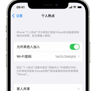 丰都apple服务站点分享iPhone上个人热点丢失了怎么办 