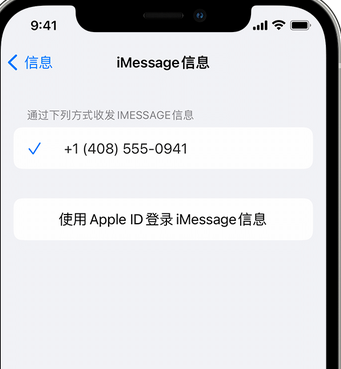 丰都apple维修iPhone上无法正常发送iMessage信息 