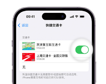 丰都apple维修点分享iPhone上更换Apple Pay快捷交通卡手绘卡面 