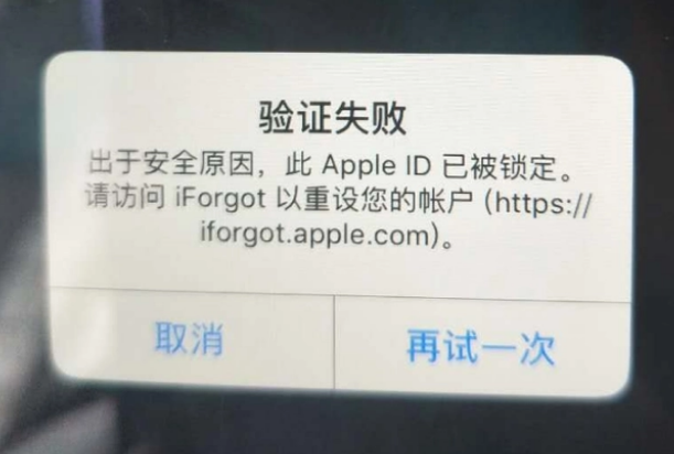 丰都iPhone维修分享iPhone上正常登录或使用AppleID怎么办 