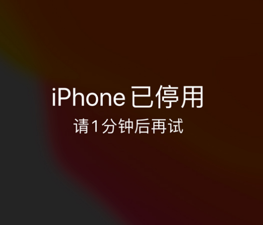 丰都苹果手机维修分享:iPhone 显示“不可用”或“已停用”怎么办？还能保留数据吗？ 