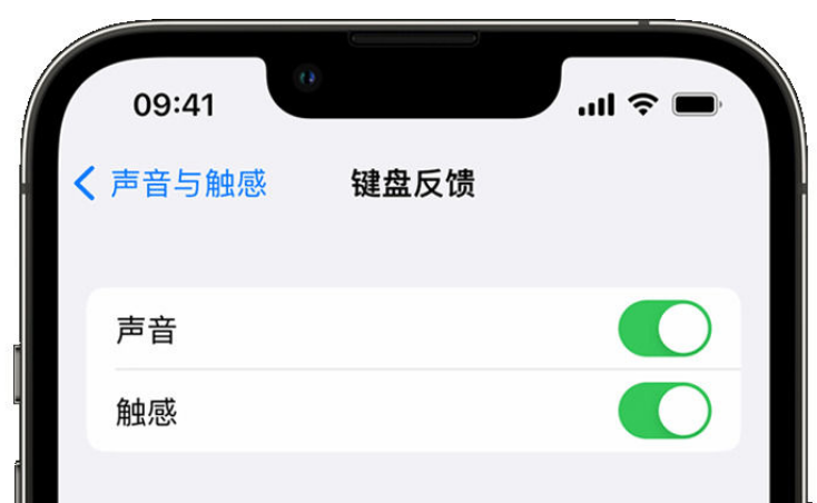 丰都苹果手机维修分享iPhone 14触感键盘使用方法 