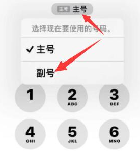 丰都苹果14维修店分享iPhone 14 Pro Max使用副卡打电话的方法 