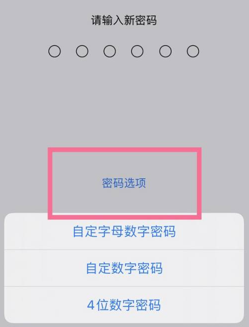 丰都苹果14维修分享iPhone 14plus设置密码的方法 