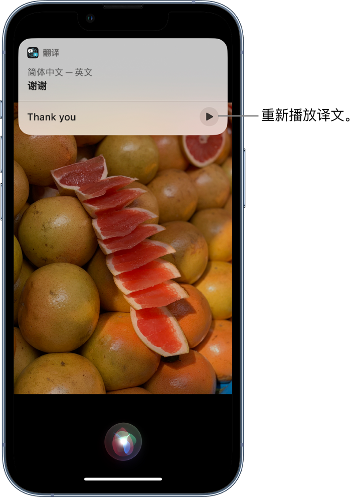 丰都苹果14维修分享 iPhone 14 机型中使用 Siri：了解 Siri 能帮你做什么 