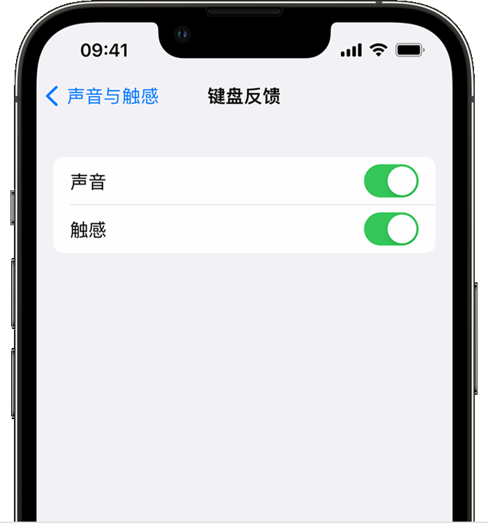 丰都苹果14维修分享iPhone 14 系列机型如何开启键盘声音或触感反馈 