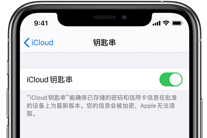 丰都苹果手机维修分享在 iPhone 上开启 iCloud 钥匙串之后会储存哪些信息 