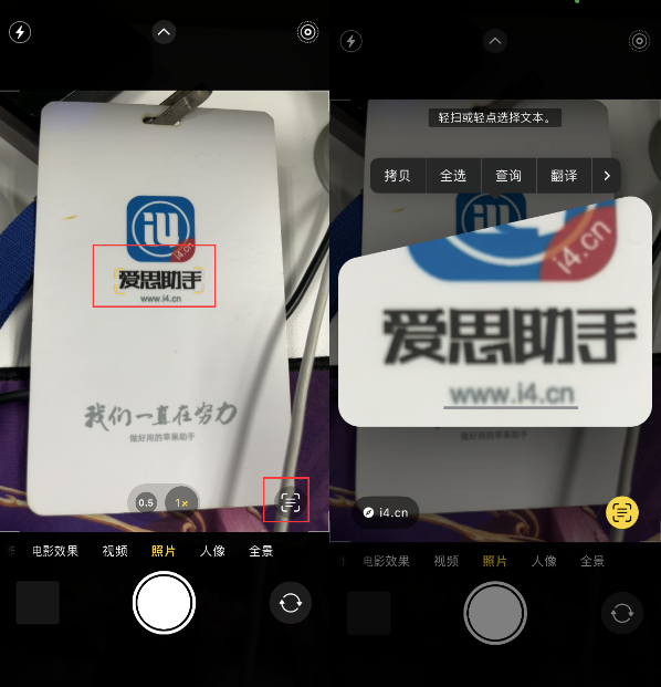 丰都苹果手机维修分享升级iOS 16后如何通过相机翻译文本 