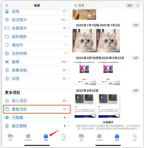 丰都苹果手机维修分享iOS 16 中相册重复项目功能使用方法 