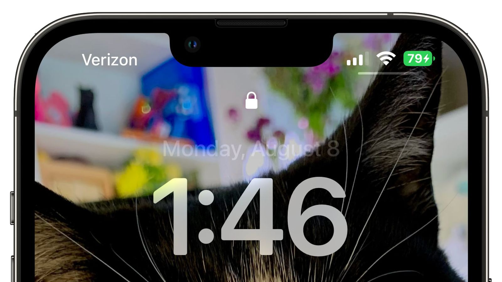 丰都苹果手机维修分享iOS 16 beta 5 支持状态栏显示电池百分比，如何开启？支持哪些机型 