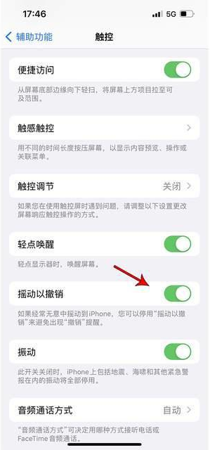 丰都苹果手机维修分享iPhone手机如何设置摇一摇删除文字 