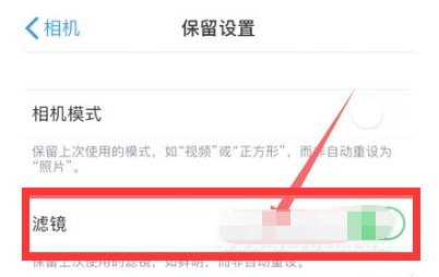 丰都苹果13维修分享iPhone13拍照有绿点是怎么回事 