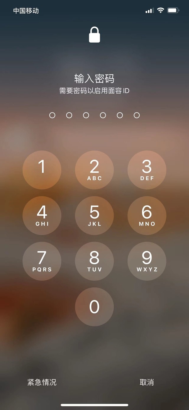 丰都苹果13维修分享iPhone 13加强锁屏功能有什么用 