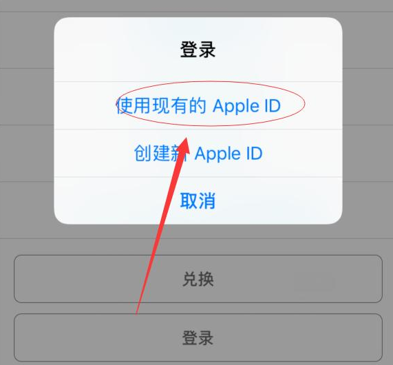 丰都苹果手机维修分享两台iPhone设备可以同时登录一个Apple ID吗 