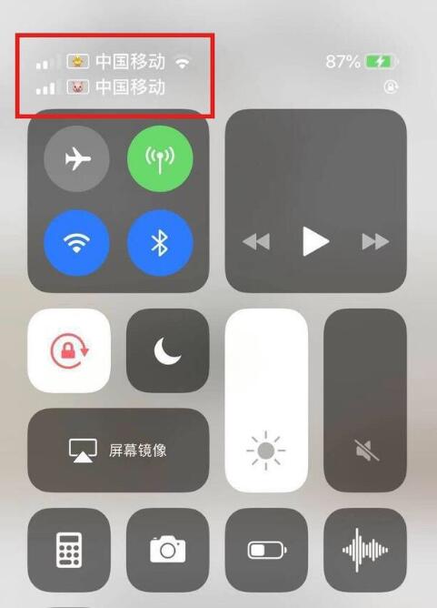 丰都苹果手机维修分享为 iPhone 12 双卡设置标签 